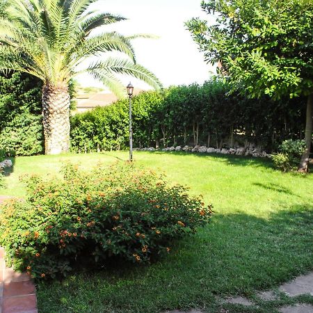 Domus Dams B&B Montescaglioso Ngoại thất bức ảnh